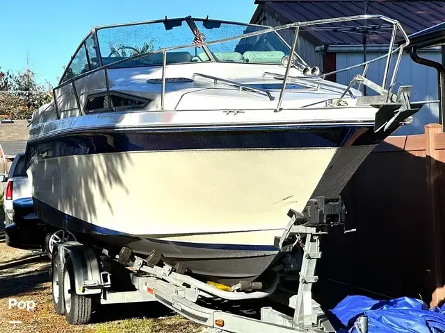 Sea Ray 250 Sundancer