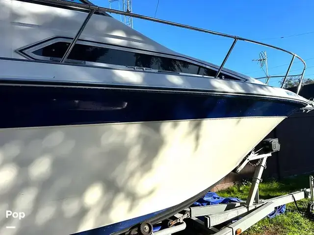 Sea Ray 250 Sundancer