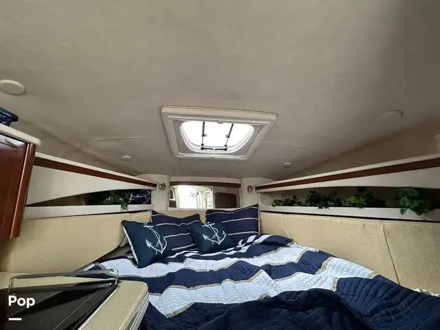 Sea Ray 260 Sundancer