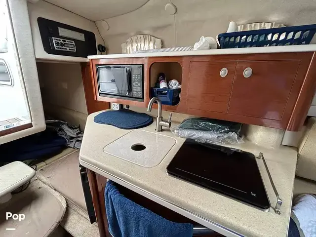 Sea Ray 260 Sundancer