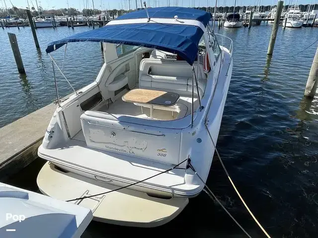 Sea Ray 300 Sundancer