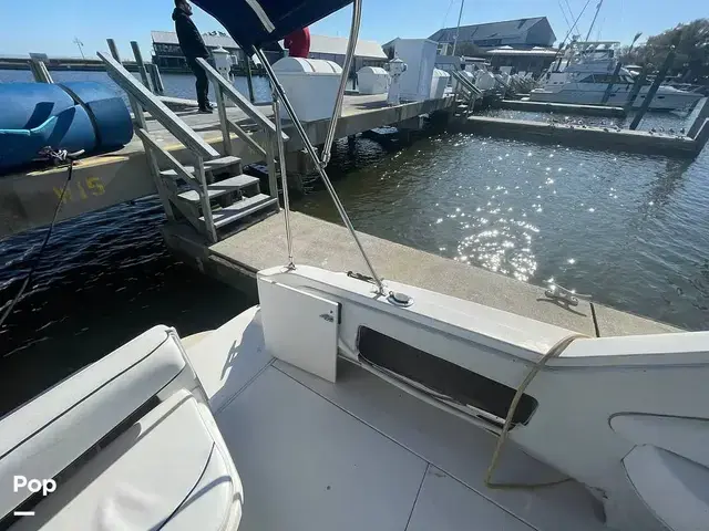 Sea Ray 300 Sundancer