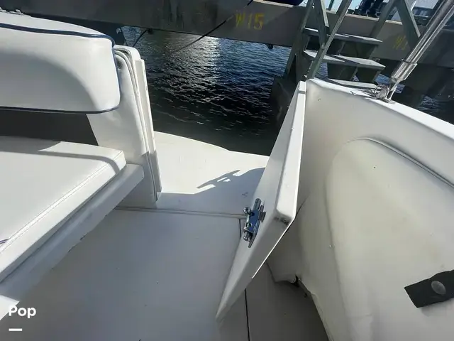 Sea Ray 300 Sundancer