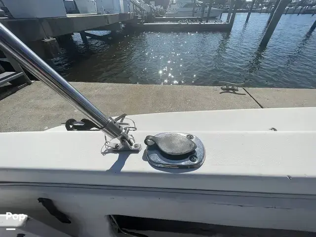 Sea Ray 300 Sundancer