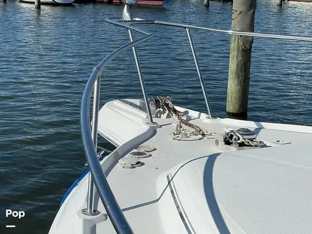 Sea Ray 300 Sundancer