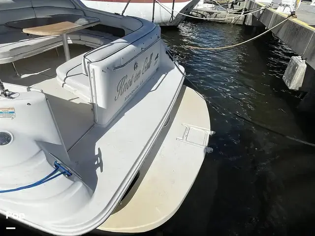 Sea Ray 300 Sundancer