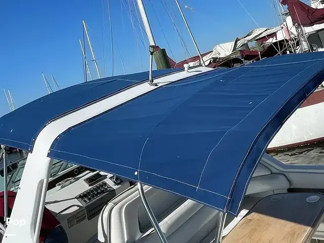 Sea Ray 300 Sundancer