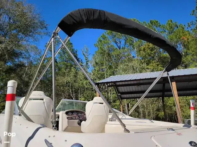 Sea Ray 240 Sundeck