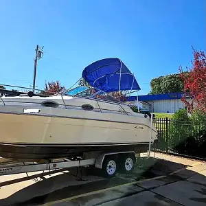 1996 Sea Ray Sundancer 250