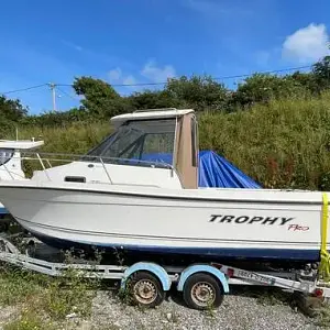 2006 Trophy Boats 2052 Walkaround