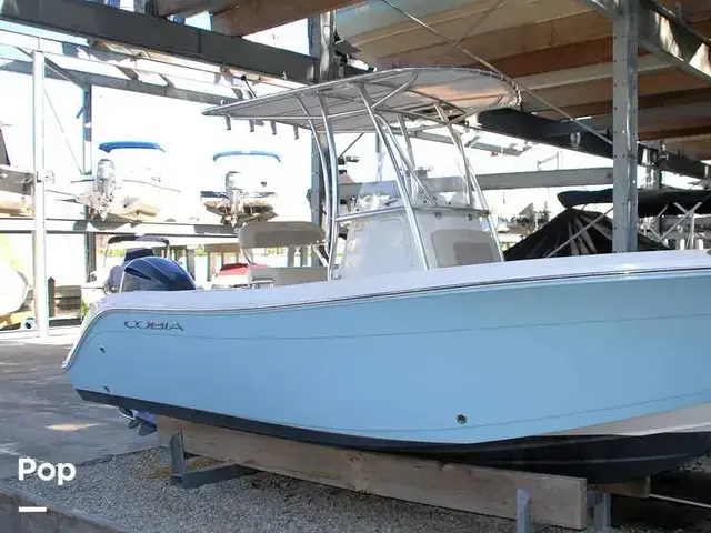 Cobia 220 Cc