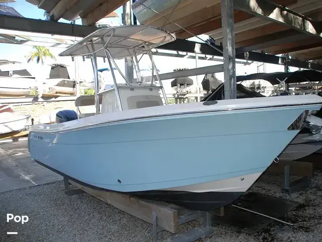 Cobia 220 Cc