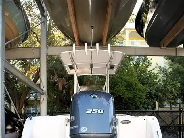 Cobia 220 Cc