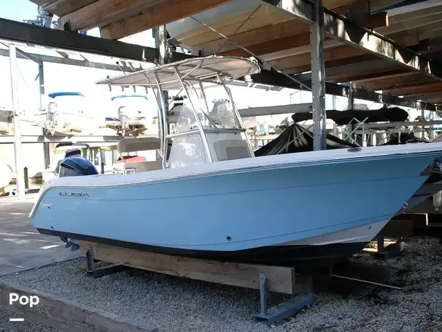 Cobia 220 Cc