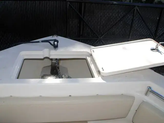 Cobia 220 Cc