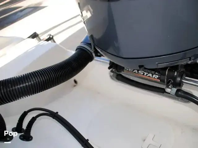 Cobia 220 Cc