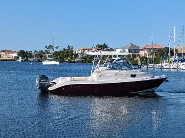 Cobia 256 Express