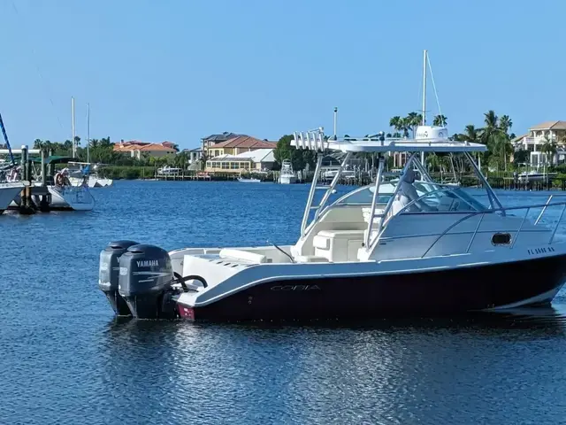 Cobia 256 Express