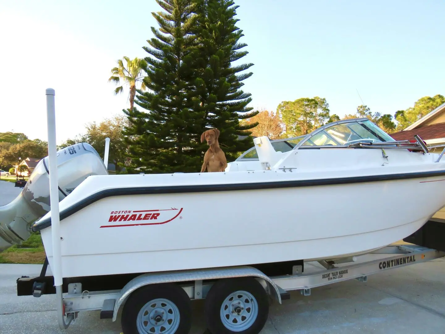 2002 Boston Whaler 21