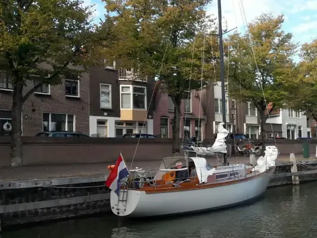 Koopmans 31