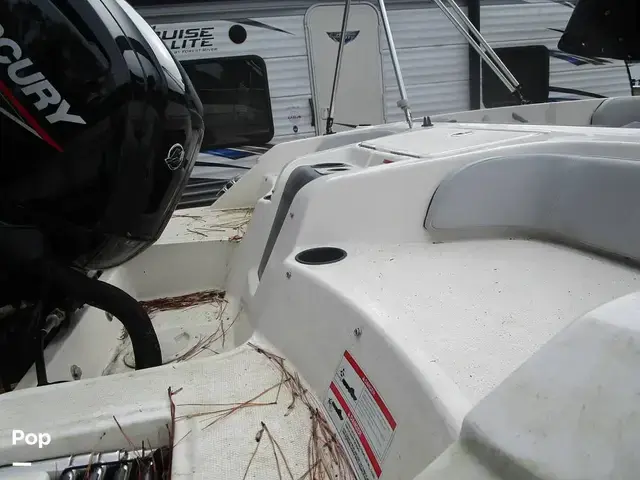 Bayliner Element 17