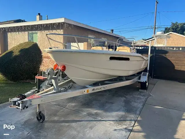 Scout 175 Sport Dorado