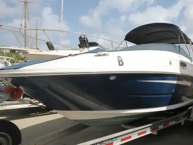 Sea Ray 260 Sundeck