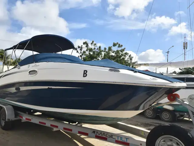 Sea Ray 260 Sundeck