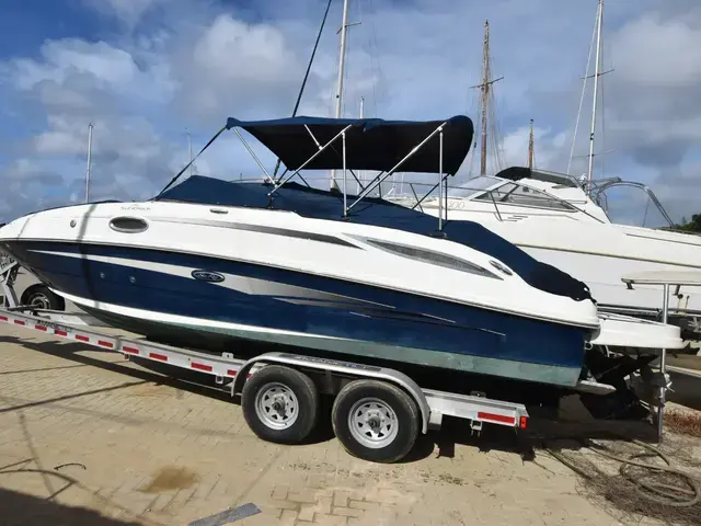 Sea Ray 260 Sundeck