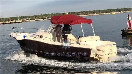 2007 International white shark 248 sundeck