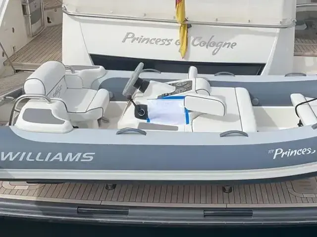 Williams Jet Tenders 325