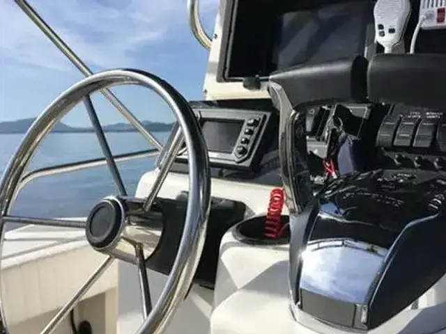 Boston Whaler 260 Outrage