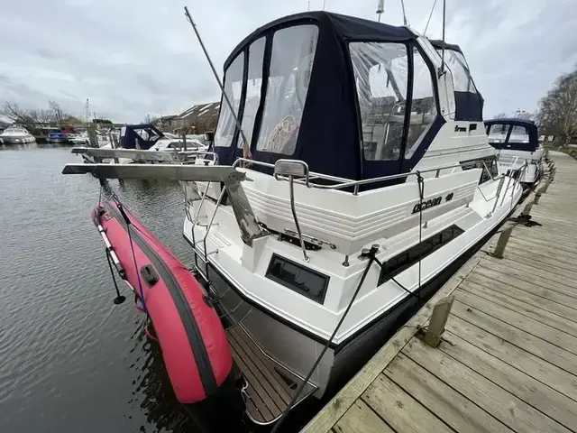 Broom Ocean 40