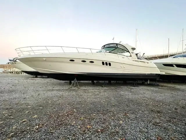 Sea Ray Custom