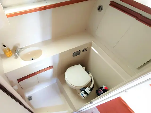 Carver 32 Aft Cabin