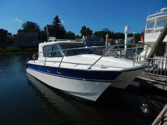 Arrowcat 32