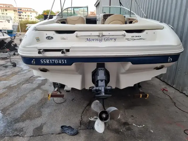 Sea Ray 230 Signature