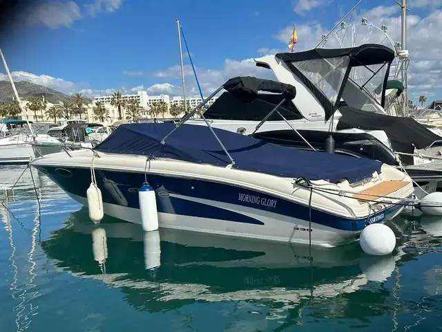 Sea Ray 230 Signature