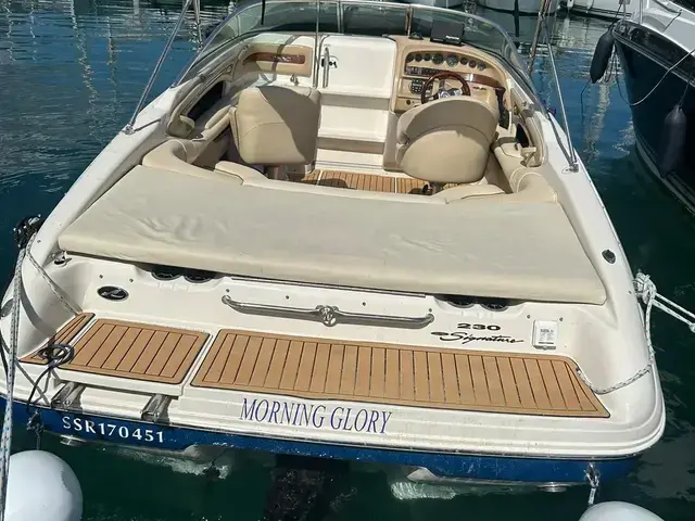 Sea Ray 230 Signature