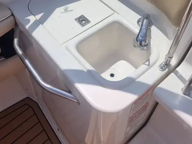 Sea Ray 230 Signature