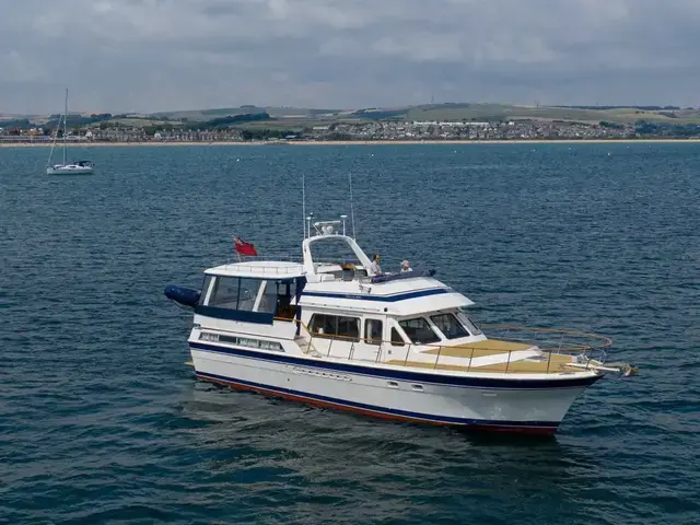 Trader 54 Sundeck