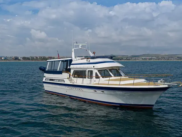 Trader 54 Sundeck