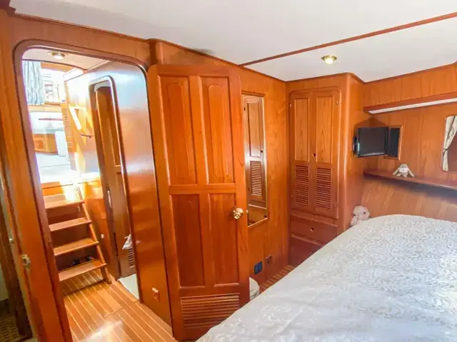 Trader 54 Sundeck