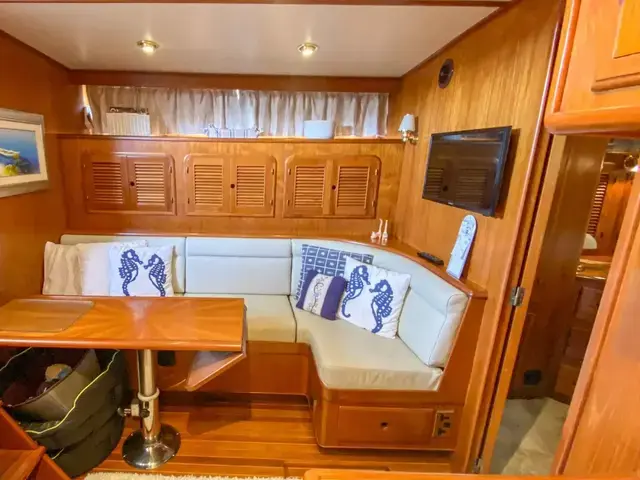 Trader 54 Sundeck