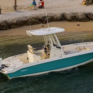 2023 Boston Whaler 250 Dauntless