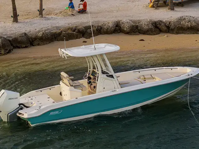 Boston Whaler 250 Dauntless