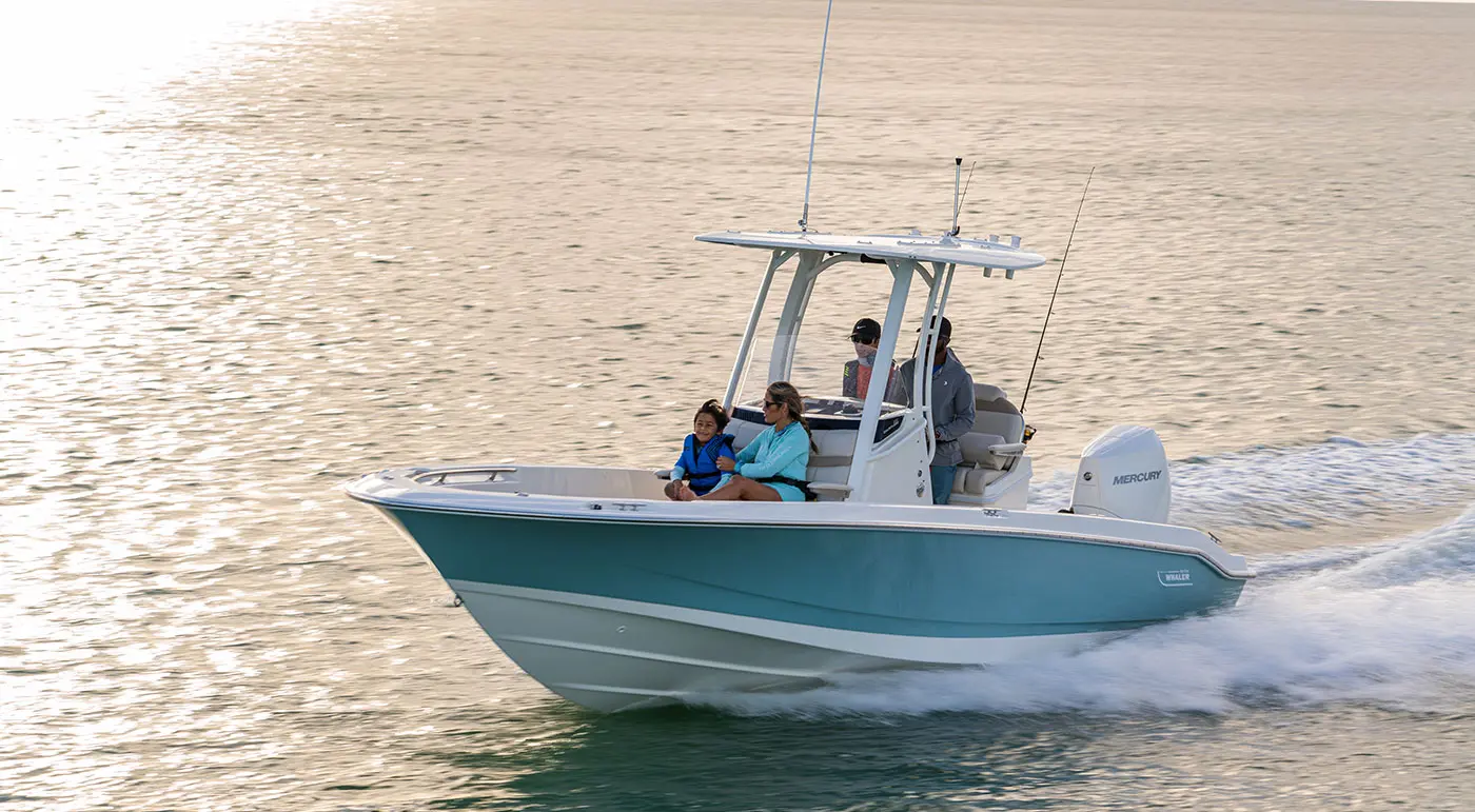 2023 Boston Whaler 250 dauntless