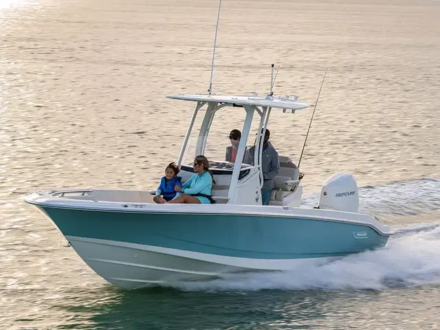 Boston Whaler 250 Dauntless