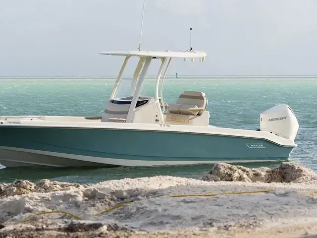 Boston Whaler 250 Dauntless