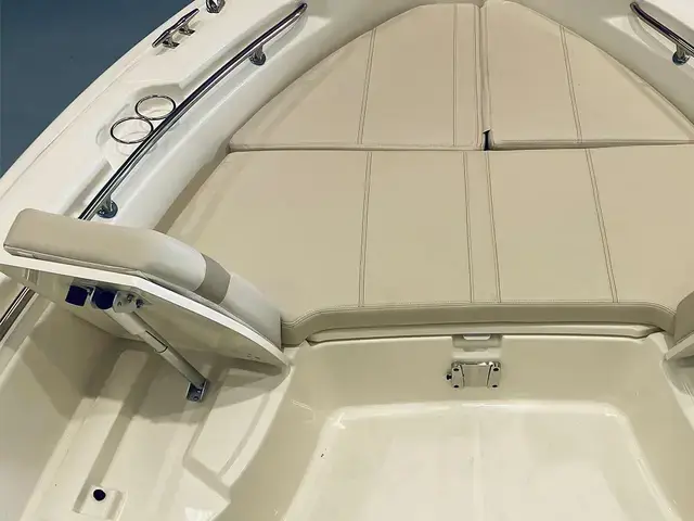 Boston Whaler 250 Dauntless